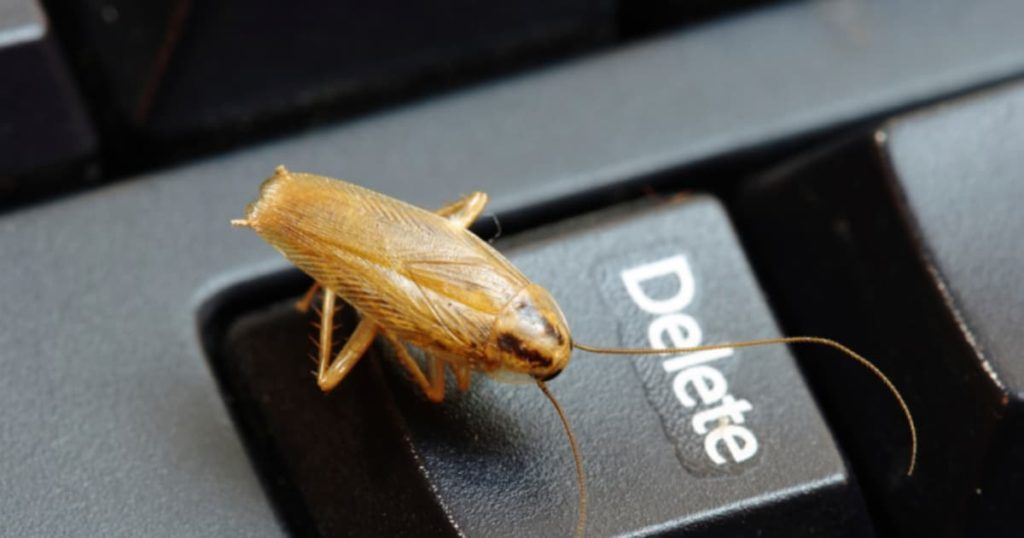Уничтожение тараканов в офисе в Перми